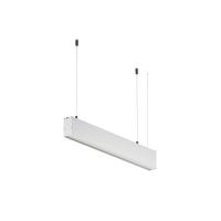 RENDER_312034_on_w_standard