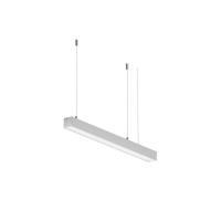 RENDER_312001_on_w_standard