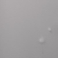54368-4.jpg