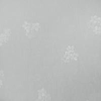 5081-3.jpg