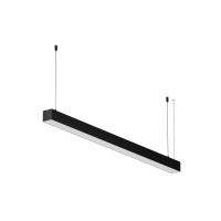 RENDER_312027_on_w_standard