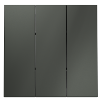 Render_front_VLS000506_w_standard