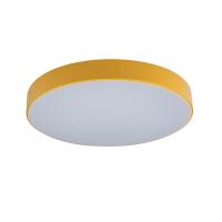 10002/24 Yellow