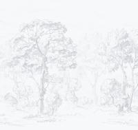 Sketch%20ETD9%20011