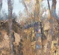Thicket%20ETD6%20010