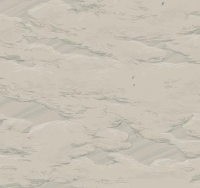 AM10 005.png