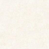 RGI1006-6