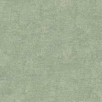 RGI1006-13