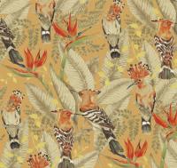 Hoopoe%20ETD7%20003