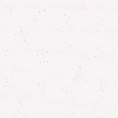 BN 219290.jpg