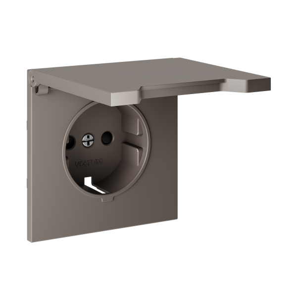 Render_right_VLS000814_w_standard