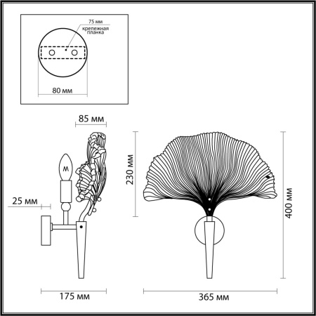 af8472bc5675703bddb482a0a97a93e5